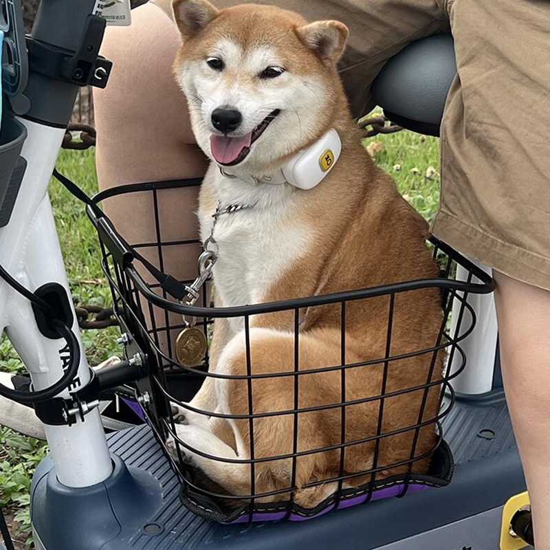 电动车车筐前置狗狗猫咪宠物通用座篮脚踏板收纳筐大容量储物创意