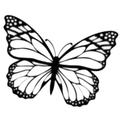 纹身贴女防水持久黑色小花朵蝴蝶