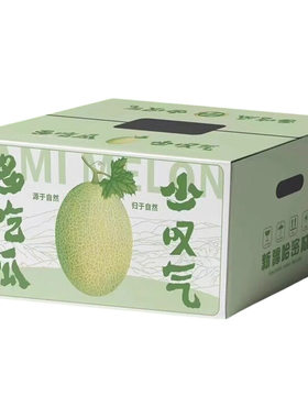 顺丰新疆吐鲁番哈密瓜