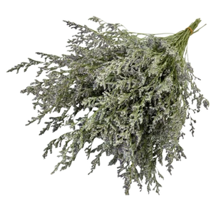 情人草干花花束家居装饰小清新摆件场景装扮布置拍照插花diy花材