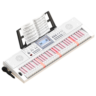 迷音鸟61键滑音轮电子琴模拟88键音专业成人幼师家用钢琴儿童初学