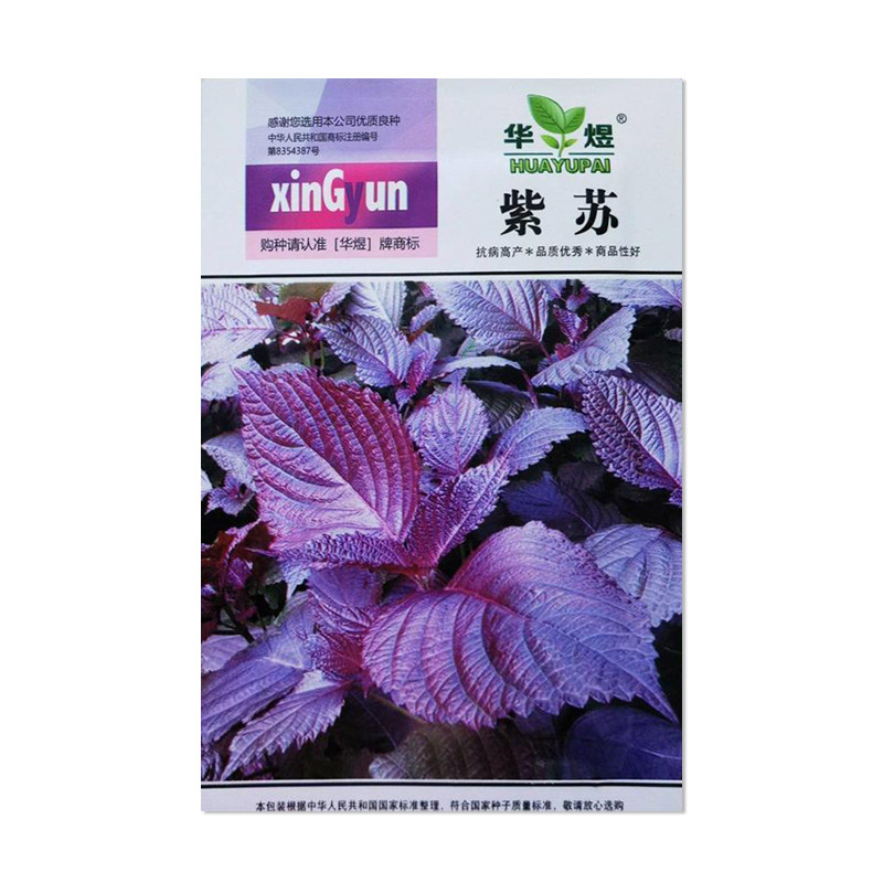 华煜紫苏种子草本蔬菜种子