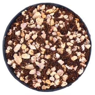 顾花坊 小颗粒多肉土 干净无粉尘 配料只有泥炭和单一粒径小颗粒