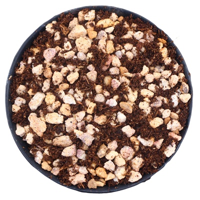 多肉植物精植颗粒品氏泥炭包邮