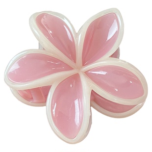 撞色氛围感花朵发夹小众气质后脑勺盘发鲨鱼夹抓夹鸡蛋花拍照发饰