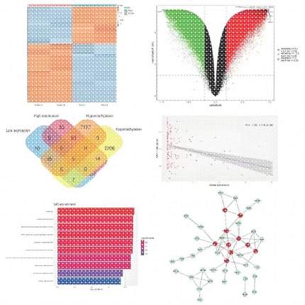 Python爬虫数据分析深度学习opencv神经网络代码nlp程序代做编程