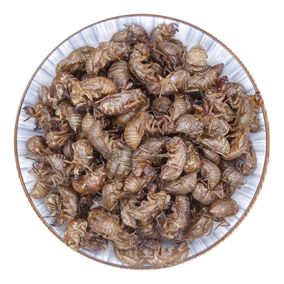 四川深山野生蝉蜕无硫无碎渣中药