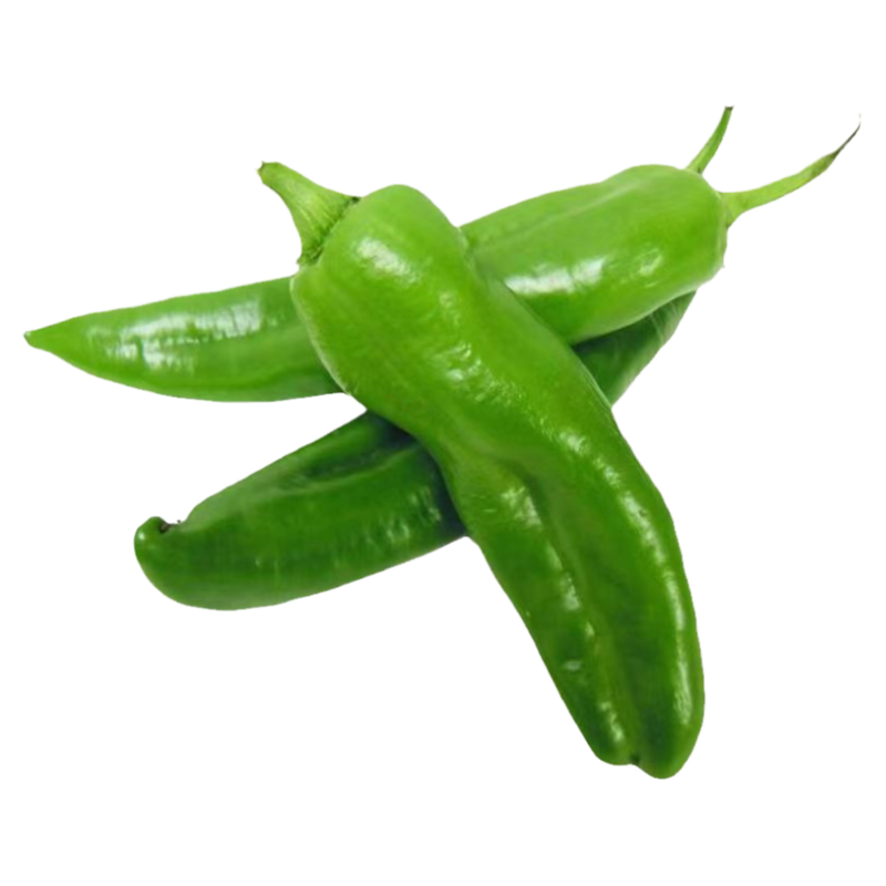 大粉番茄苗番茄苗四季盆栽阳台