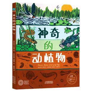 官方正版书籍 神奇的动植物:英国自然历史博物馆联名出版的艺术级儿童自然科普图书