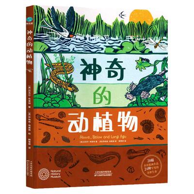 官方正版书籍 神奇的动植物:英国自然历史博物馆联名出版的艺术级儿童自然科普图书
