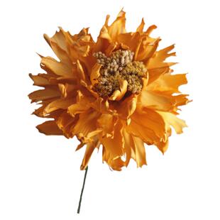 金蕊牡丹干花花束高级感天然真花轻奢高端客厅装饰摆件永生花