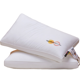 丽笙枕头护颈椎助睡眠超柔软慢回弹抑菌大胖枕芯成人家用一对中枕