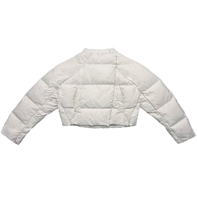 rareraw/softcore不对称门襟龟背箱型无性别廓形立领短款羽绒服女