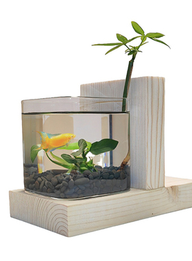 创意斗鱼缸摆件水培植物节日送礼