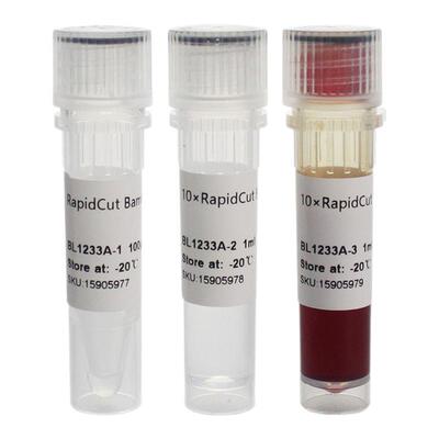 Biosharp/白鲨 BL1233A RapidCut BglII 快速限制性内切酶