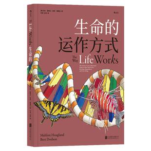 后浪正版现货 生命的运作方式 初中高中中学生生物科学课外经典读物世界史任选 观念生物学基因DNA进化构造探索发现科普绘本书籍