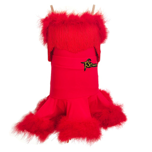 天生舞者拉丁舞服女童26春夏新款高级感流苏少儿练功服儿童演出服