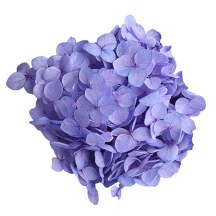 等花来国产A级永生花配材整盒装diy材料包打底保鲜花安娜小叶绣球