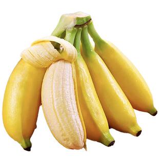 青蕉发货正宗广西小米蕉当季新鲜应季水果甜糯小香蕉水果整箱