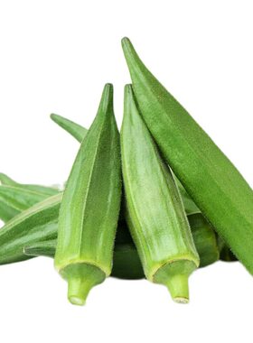 福建当季新鲜秋葵新鲜蔬菜秋葵鲜嫩黄秋葵现摘现发嫩新鲜水果秋葵