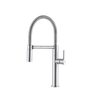 弗兰卡304不锈钢厨房弹簧冷热水龙头CT195S水槽可旋转龙头220-979