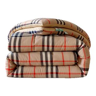 10A级抗菌冬被新款加厚保暖春秋被棉被褥单双人被子被芯四季通用