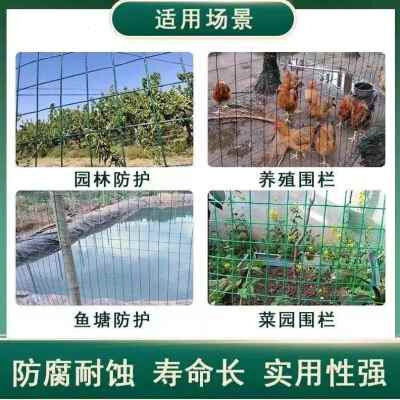 厂销新钢丝网子小孔硬加粗铁丝网围栏铁网格网养鸡网拦鸡网围栏品