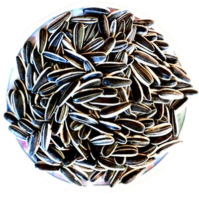 内蒙古生瓜子新货原味熟葵花籽