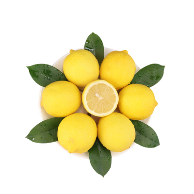 新鲜黄柠檬一级大果奶茶店专用