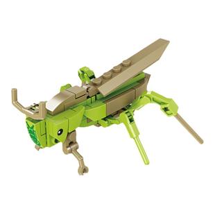 开智昆虫积木8盒装蚂蚱金龟子蟋蟀组装模型儿童拼装拼插玩具80041