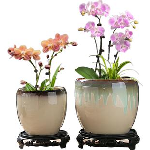 蝴蝶兰专用花盆套盆陶瓷粗陶文心兰绿萝绿植盆栽盆器轻奢高级感