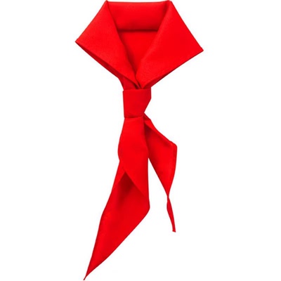 红领巾小学生纯棉不掉色通用