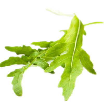 新鲜芝麻菜沙拉火箭菜生菜