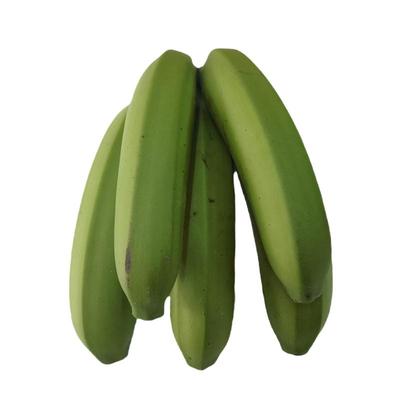 广东高州香蕉3-9斤自然熟新鲜水果原生态小香蕉生蕉发货自行催熟