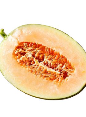 正宗新鲜哈密瓜海南当季水果整箱现摘西州蜜瓜小甜瓜龙纹密瓜网纹