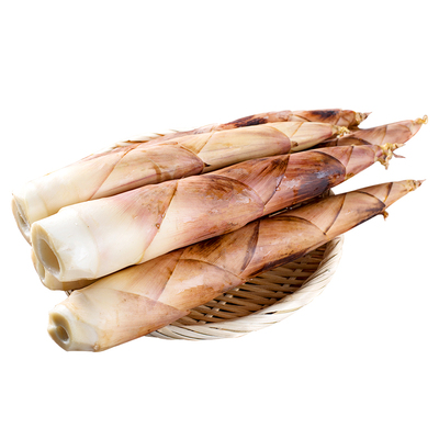 春笋临安天目山现挖现发