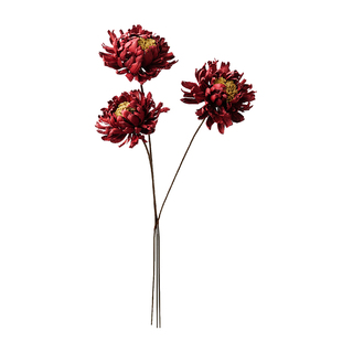 金蕊杜丹手工果壳花天然干花家居民宿客厅卧室摆设婚礼摄影装饰