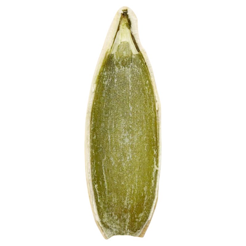 新疆美人甲长粒南瓜子当季新货椒