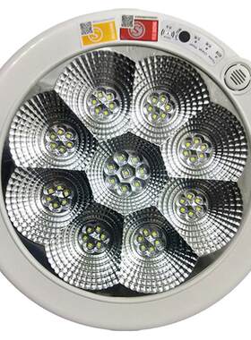 消防应急灯灯具led吸顶梅花