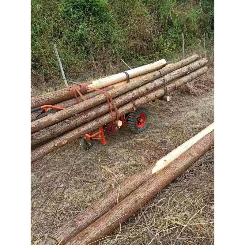 汽油电动柴油三轮车果园鸡公车工地手推车山地爬坡农用独轮运输车