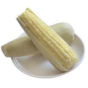 沙域香甜糯玉米冷鲜玉米大棒代餐沙漠玉米内蒙古特产甜糯玉米