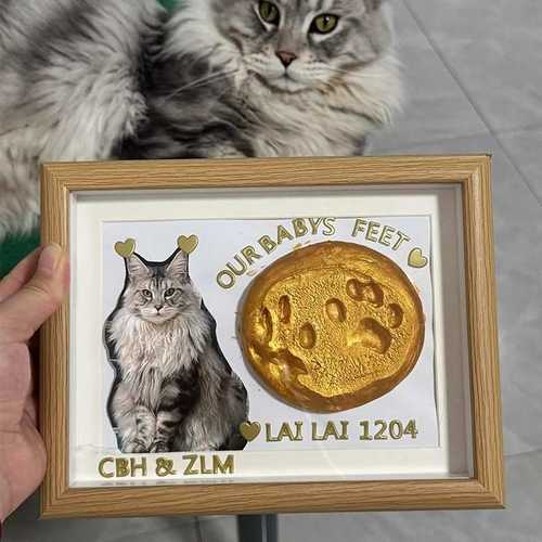 猫咪爪印纪念相框摆件宠物狗狗diy爪印印泥脚印生日照片纪念留念