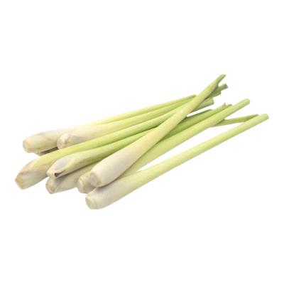 新鲜香茅草柠檬草西餐香料材料