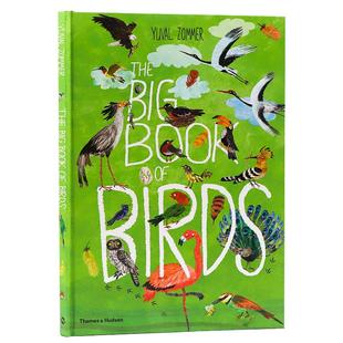 自然科普艺术绘本鸟类大书 The Big Book of Birds百花大绘本英文原版儿童科普读物英语启蒙熏陶精装大开本精美插图 Yuval Zommer