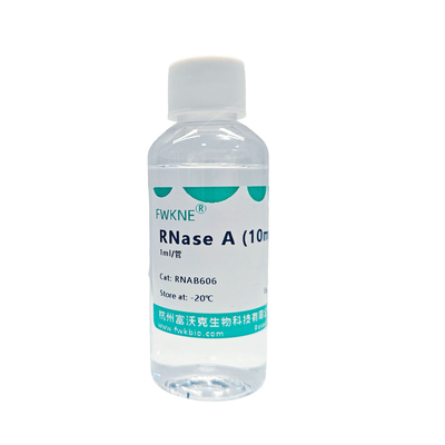 RNaseA10mg/ml核糖核酸酶A溶液
