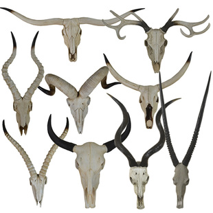 牛头壁挂头骨墙饰长角牛动物头挂件装饰饭店墙面复古壁饰装饰品
