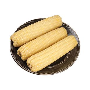 东北白糯甜糯粘玉米棒黏苞米棒真空包装新鲜粗粮代餐低脂健康早餐
