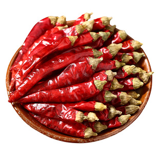 干辣椒特辣特香印度椒变态辣超辣小样500g商用可磨粉面剪段干海椒