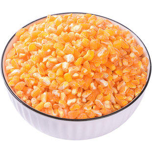 2024年新东北玉米碴大粒脱皮新鲜细糁碎渣正宗笨粘糯芸豆大碴子粥