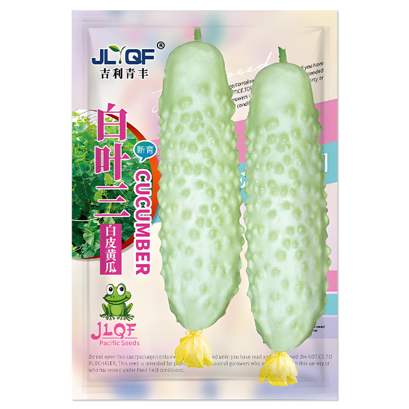 白叶三白皮黄瓜种子水果黄瓜